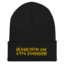 Load image into Gallery viewer, Cuffed Beanie from the 69th dimension