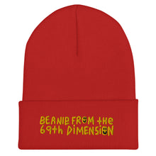 Load image into Gallery viewer, Cuffed Beanie from the 69th dimension