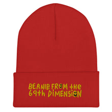 Load image into Gallery viewer, Cuffed Beanie from the 69th dimension
